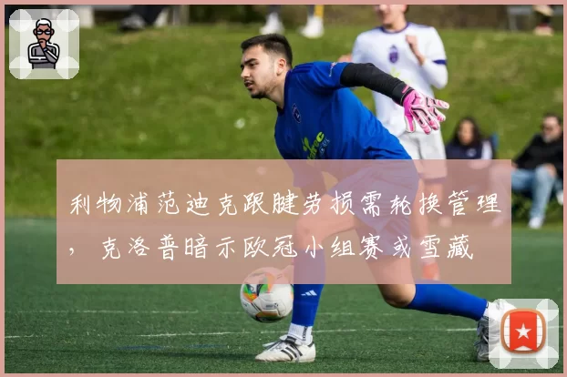 利物浦范迪克跟腱劳损需轮换管理,克洛普暗示欧冠小组赛或雪藏