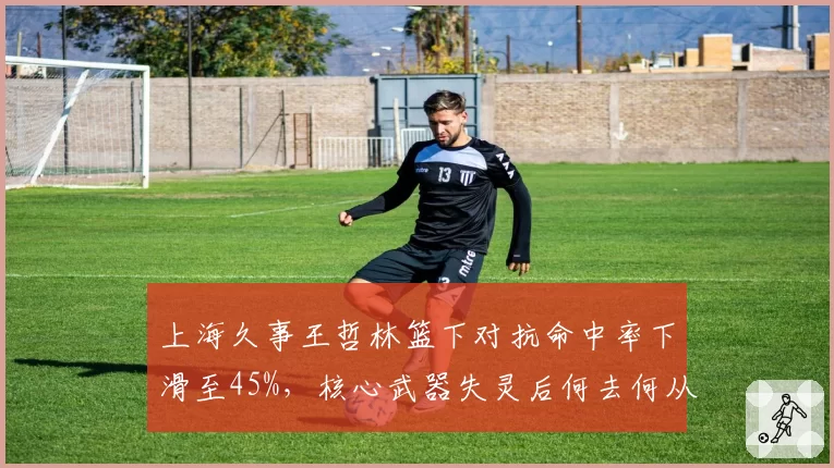 上海久事王哲林篮下对抗命中率下滑至45%,核心武器失灵后何去何从?