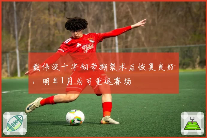 戴伟浚十字韧带撕裂术后恢复良好,明年1月或可重返赛场
