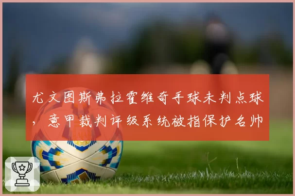 尤文图斯弗拉霍维奇手球未判点球,意甲裁判评级系统被指保护名帅