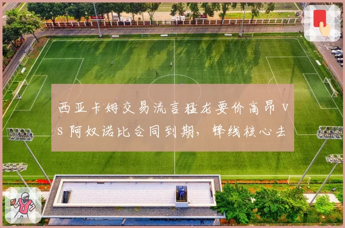 西亚卡姆交易流言猛龙要价高昂 vs 阿奴诺比合同到期,锋线核心去留抉择