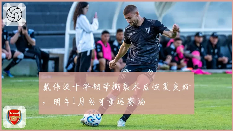戴伟浚十字韧带撕裂术后恢复良好，明年1月或可重返赛场
